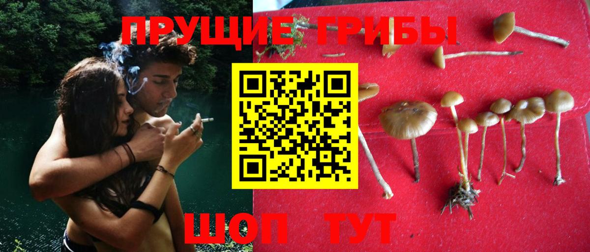 Галлюциногенные грибы мицелий Волгодонск